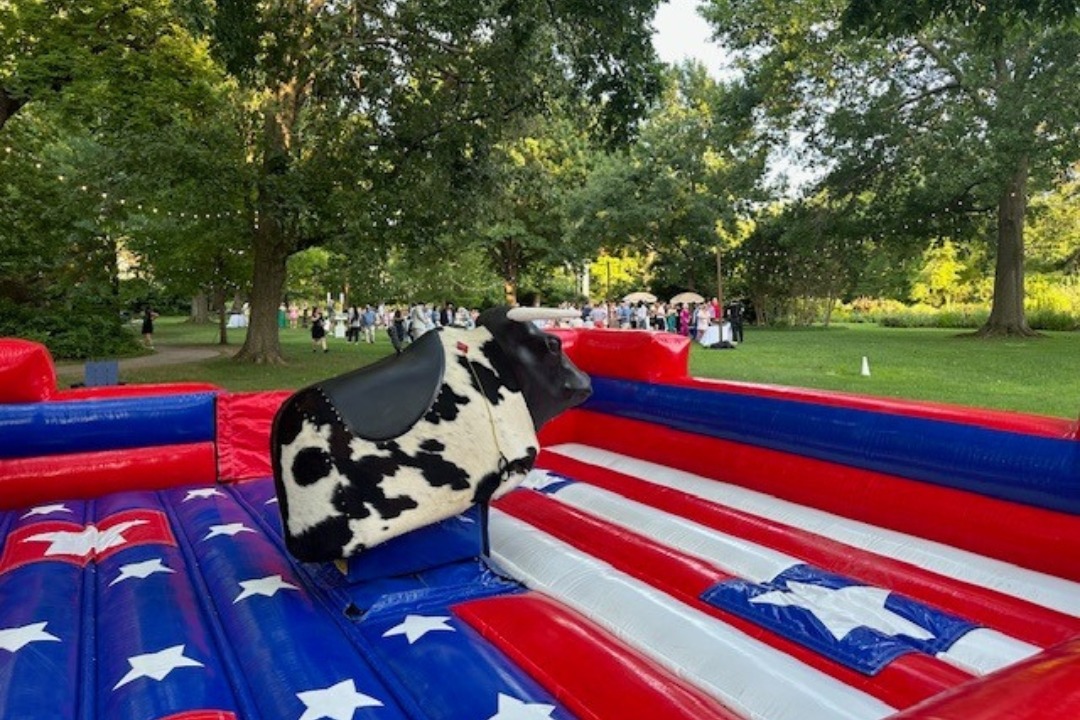 Mechanical Bull14